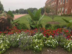 Farrell Hall flowerbeds