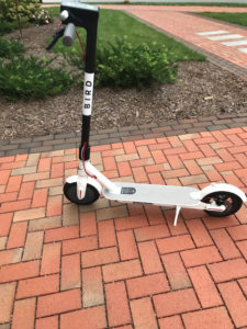 Bird Scooter