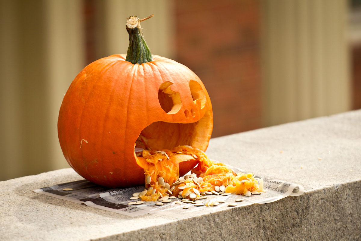 A carved pumpkin decorates the wall outside a residence hall, on the campus of Wake Forest University