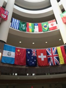 flags representing the home countries of our international students