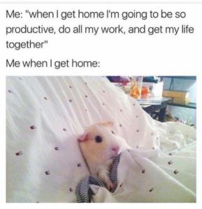 joke about going home to be productive and just going to bed