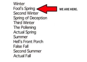 The 12 seasons of NC weather