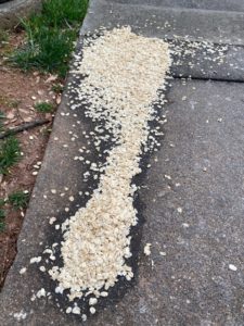 spilled box of rolled oats