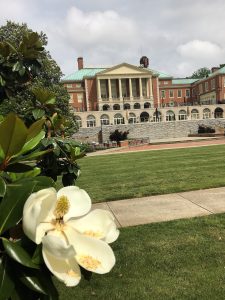 Magnolias and Reynolda Hall - late May 2020