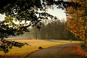 Reynolda lawn