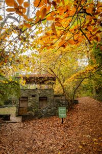 The ground of Reynolda House Museum of American Art and Reynolda Gardens, Wake Forest University, Thursday, November 3, 2016.