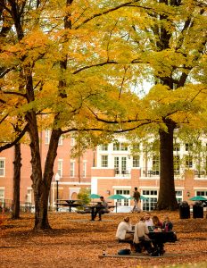 Wake Forest students enjoy a warm late fall day studying outside Farrell Hall on Monday, November 14, 2016.