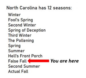 the 12 seasons in NC