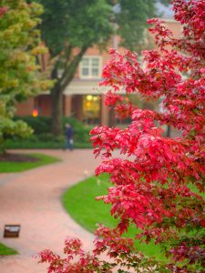 Fog envelops Hearn Plaza, on the campus of Wake Forest University, Tuesday, October 13, 2020.