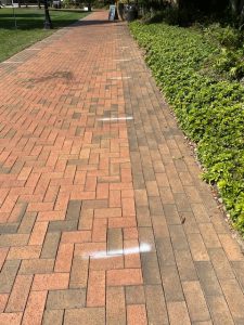 weird lines ont he Quad