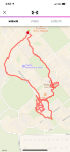 the loop I walked