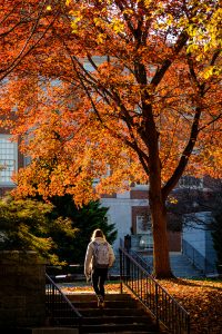 The afternoon sun makes the fall colors glow as students walk across Tribble Courtyard on the campus of Wake Forest University, Wednesday, November 13, 2019.