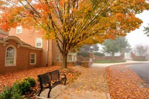 Heavy fog blankets the Wake Forest campus early on the morning of Tuesday, October 27, 2020. A comfortable bench sits outside Kitchin Residence, surrounded by fall color.