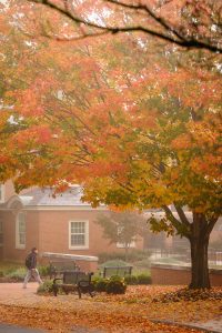 Heavy fog blankets the Wake Forest campus early on the morning of Tuesday, October 27, 2020. A comfortable bench sits outside Kitchin Residence, surrounded by fall color.