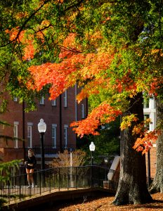 Fall color decorates the Wake Forest campus on the afternoon of Tuesday, October 27, 2020.
