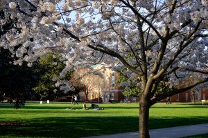 Wake Forest students enjoy a warm afternoon on Manchester Plaza on Thursday, March 28, 2019.