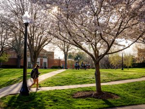 Students enjoy a warm spring afternoon on the plaza outside the Z. Smith Reynolds Library, on the campus of Wake Forest University, Thursday, March 28, 2019.