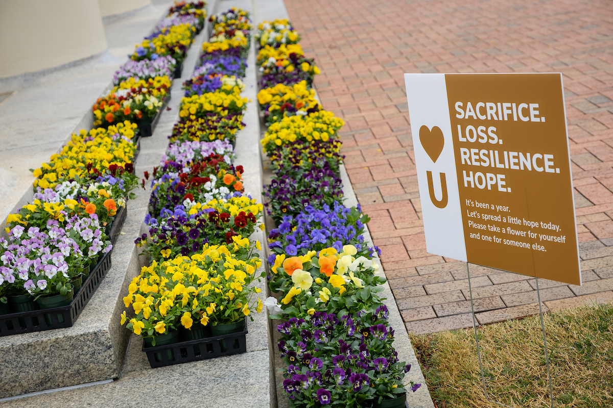 wide shot of the 1,000 flowers in pots from The Office of the Chaplain and the School of Divinity offer flowers to acknowledge the 1 year anniversary of COVID shutting Wake down