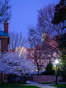 Early morning light on Manchester Plaza, on the campus of Wake Forest University, Thursday, March 28, 2019.