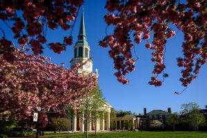 Cherry blossoms on Hearn Plaza frame Wait Chapel on the campus of Wake Forest University on Wednesday, April 10, 2019.