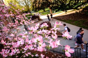 Wake Forest students walk to class across Manchester Plaza, on the campus of Wake Forest University on Wednesday, April 10, 2019.