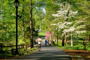 Members of the Wake Forest community enjoy a cool spring morning on the walkway to Reynolda Village, on the campus of Wake Forest University, Monday, April 15, 2019.