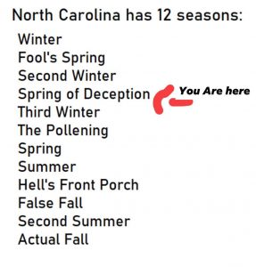 the 12 seasons of NC