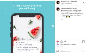 Wellbeing texts service