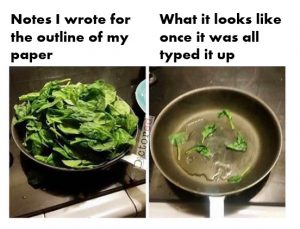 joke showing how spinach reduces when cooked, relating it to difference between notes you took for outline of paper vs word count once typed 
