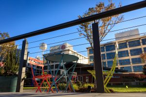 Bailey Park is part of the new Wake Forest Innovation Quarter in downtown Winston-Salem, shown on Tuesday, October 20, 2015.
