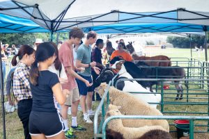 The University Counseling Center hosts a stress relief petting zoo on Manchester plaza on Monday, September 30, 2019.