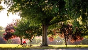 The sun rises over Poteat Field, on the campus of Wake Forest University, early on the morning of Wednesday, June 16, 2021.