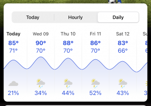 Weather forecast 6/8-12/21