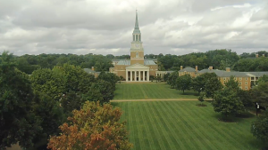 Quad Cam view of trees 9 22 21