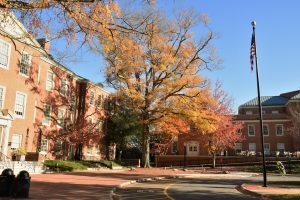 tree by Reynolda Hall and Benson. Images from David Friedman, emeritus professor living on Faculty Drive