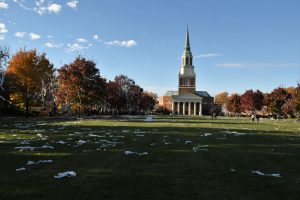 The Quad in November. Images from David Friedman, emeritus professor living on Faculty Drive
