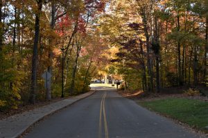 View from Faculty Drive. Images from David Friedman, emeritus professor living on Faculty Drive