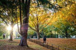 Wake Forest students walk to class on a cool fall morning, on the campus of Wake Forest University on Wednesday, October 27, 2021.