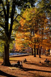 Students work outdoors in front of the tent near Farrell Hall, on the campus of Wake Forest University on Monday, November 8, 2021.