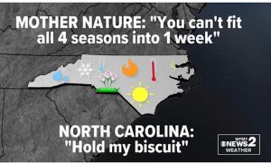 Mother Nature: you can't fit all 4 seasons into a week. NC: hold my biscuit