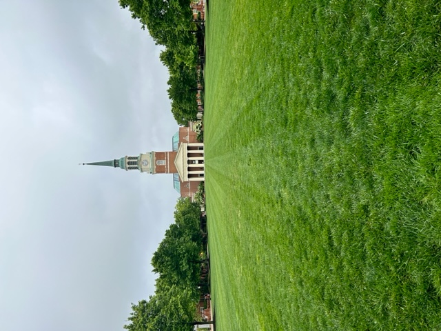 Thicc quad grass