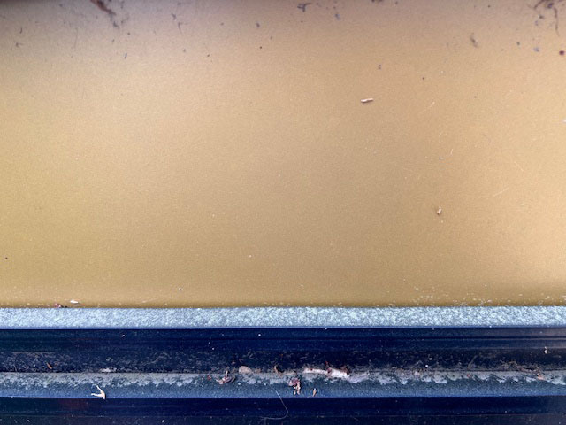 Pollen on the ledges of the Olin sign 4.2.24