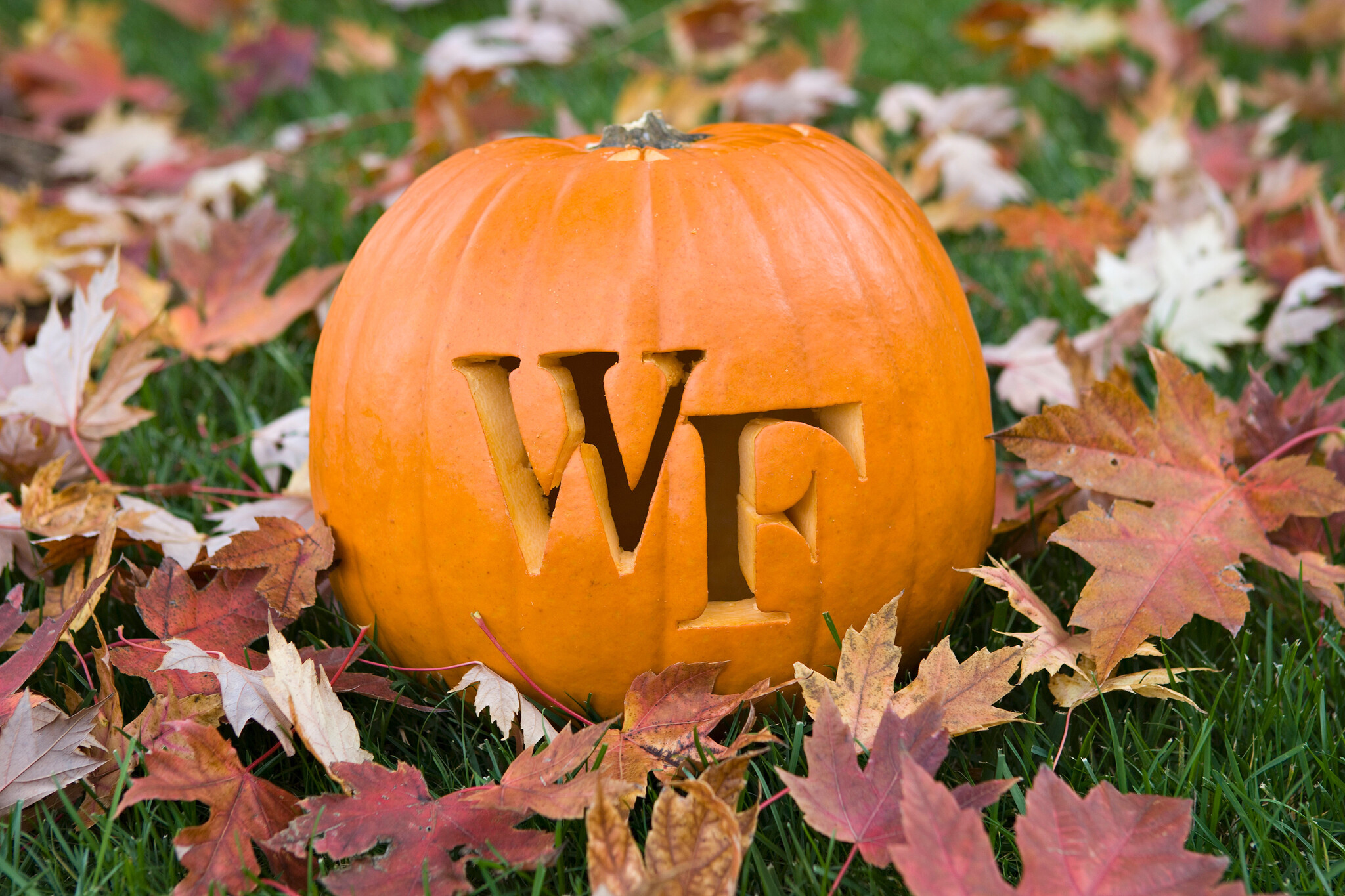 pumpkin carved with the WF in it