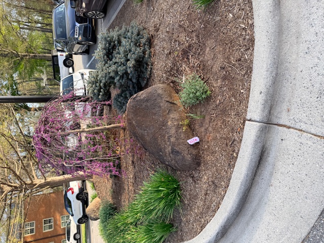 A Happy Rock tucked away on the ground. You'd miss it if you didn't go in for a closer look