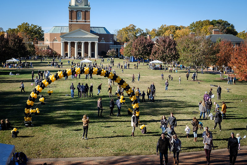 Festival on the Quad