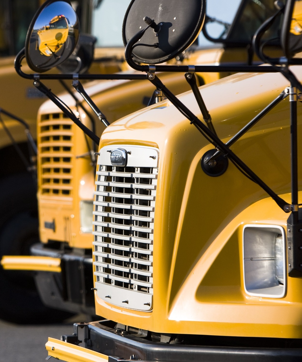 Photo: School Buses