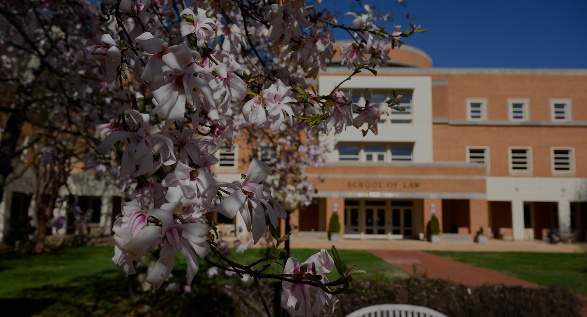 Philanthropy: Sleeves Up for Saving At-Risk Ancestral Lands and Homes