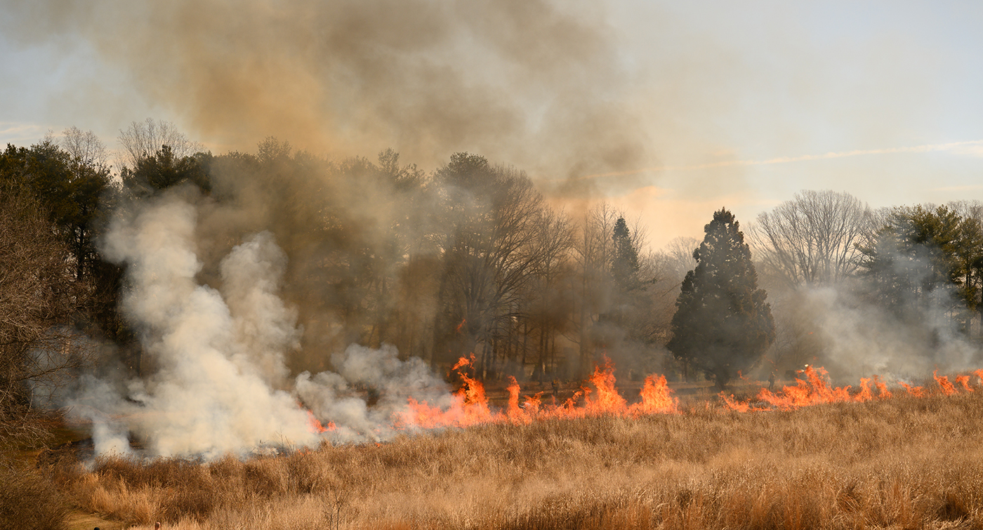 What’s Fueling Wildfires in the Southeast?