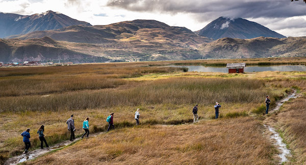 Into the Wild of Peru