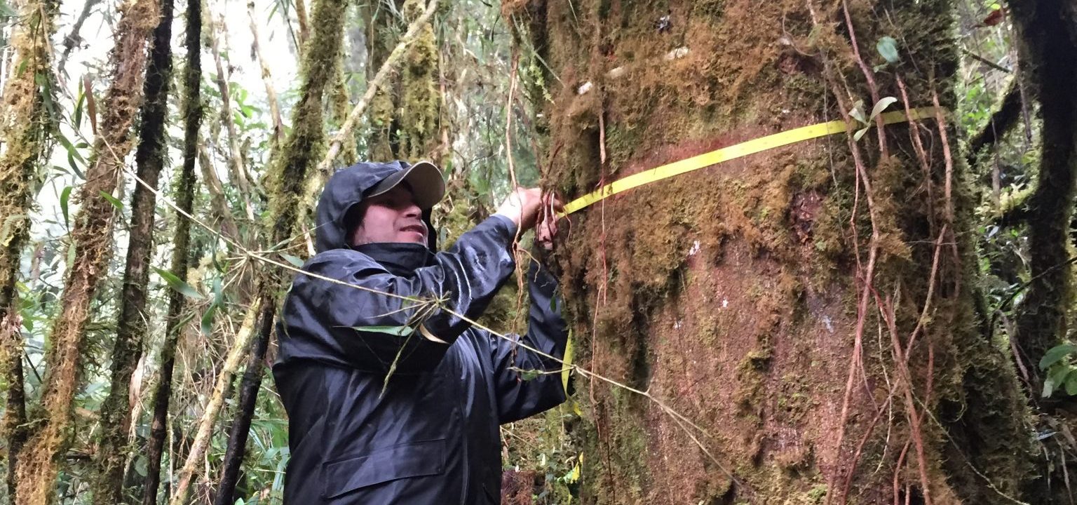Explainer: Andes Amazon Forests Struggle to Adapt to Climate Change